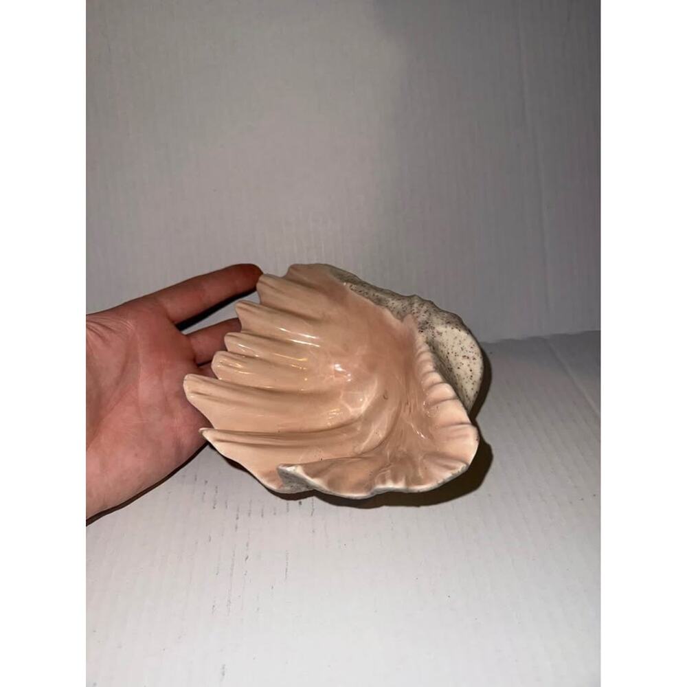 Vintage Large Deco Regency Ceramic Shell Clamshell Bowl Signed